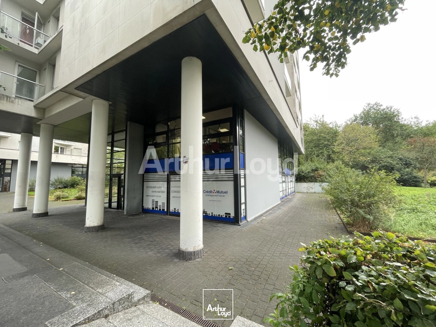 Locaux commerciaux - Location - LILLE - 59000 - 175-175 - 7723787