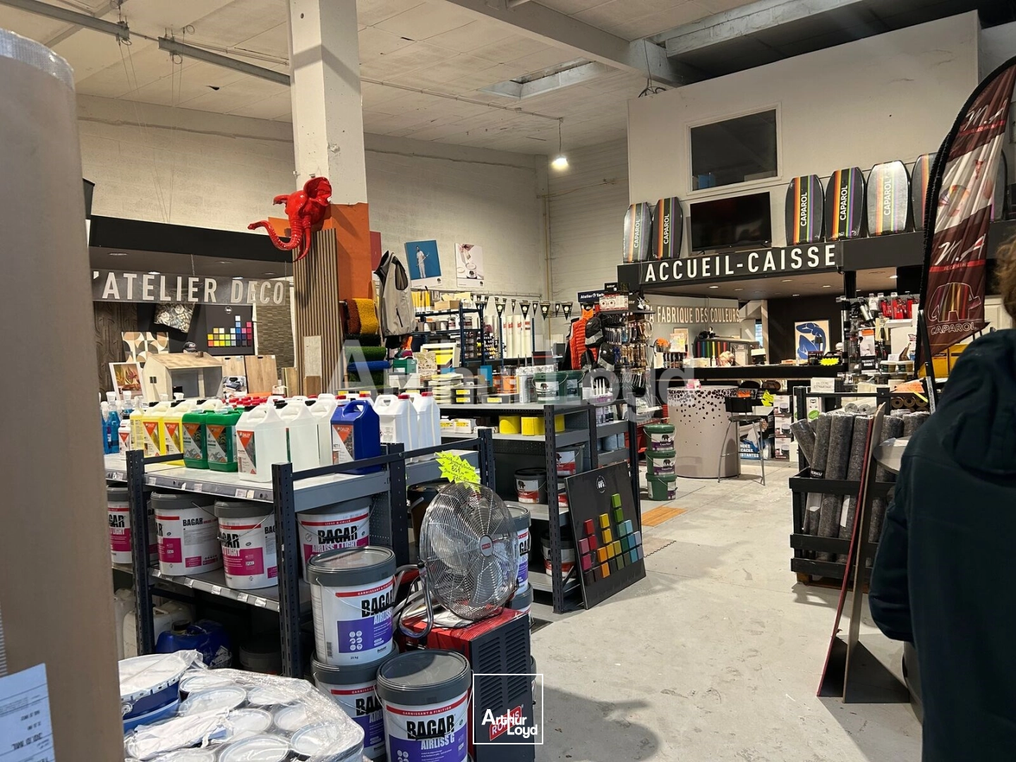 Locaux d'activité & Entrepôts - Location - VILLENEUVE D'ASCQ - 59650 - 288-288 - 7724727