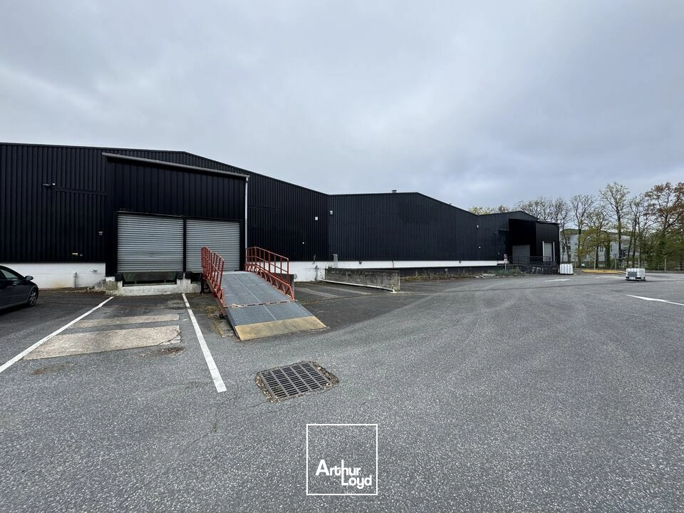 Locaux d'activité & Entrepôts - Location - JOUE LES TOURS - 37300 - 3026-3026 - 7726553