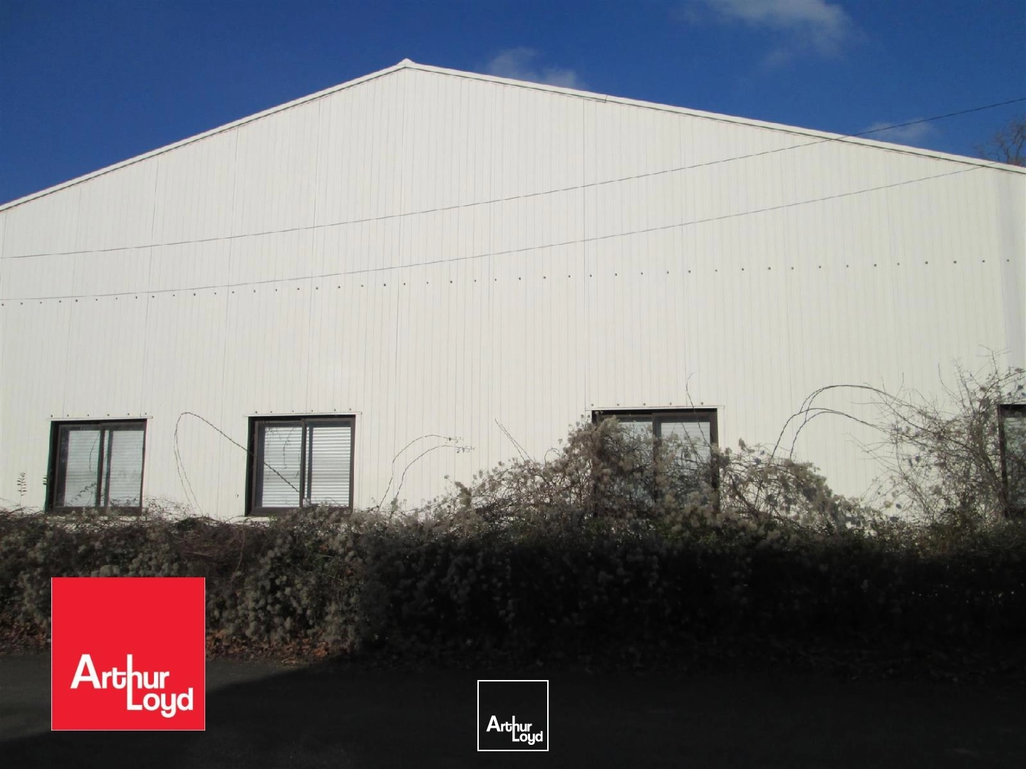 Locaux d'activité & Entrepôts - Vente - NOGENT LE ROTROU - 28400 - 600-600 - 7727264