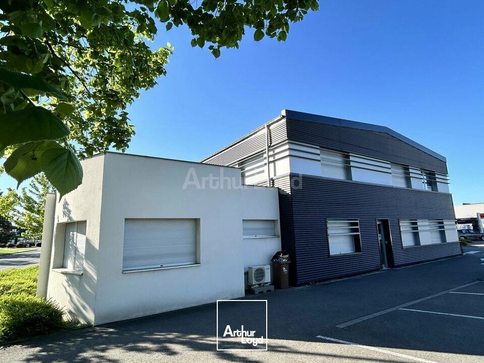 Bureaux - Location - HORBOURG-WIHR - 68180 - 333-333 - 7749038