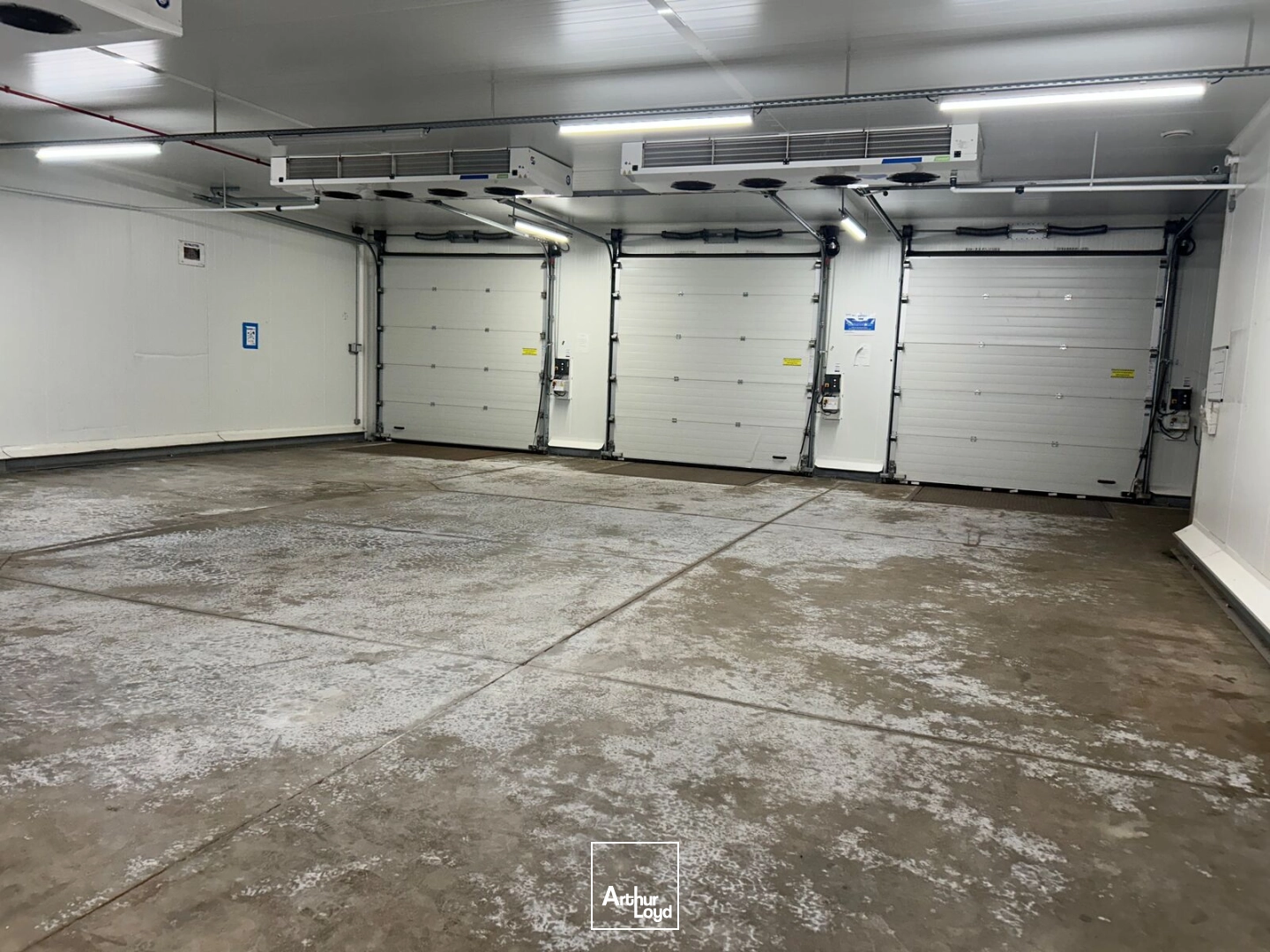 Locaux d'activité & Entrepôts - Vente - SAINT JEAN DE BOISEAU - 44640 - 478-478 - 7749508