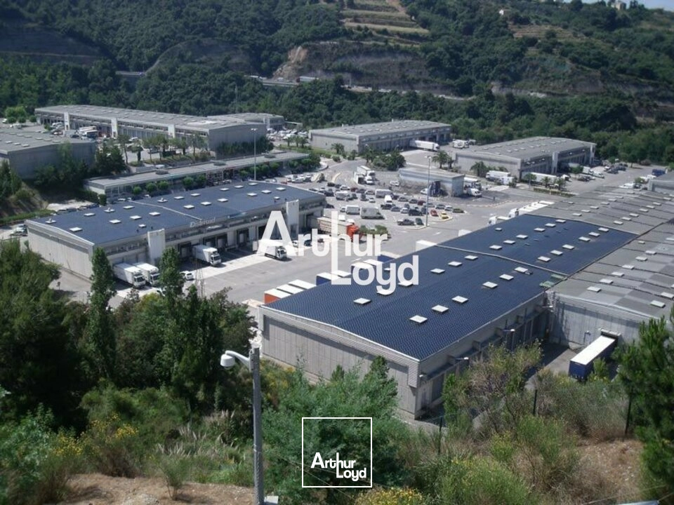 Locaux d'activité & Entrepôts - Location - NICE - 06200 - 436-2874 - 7751456