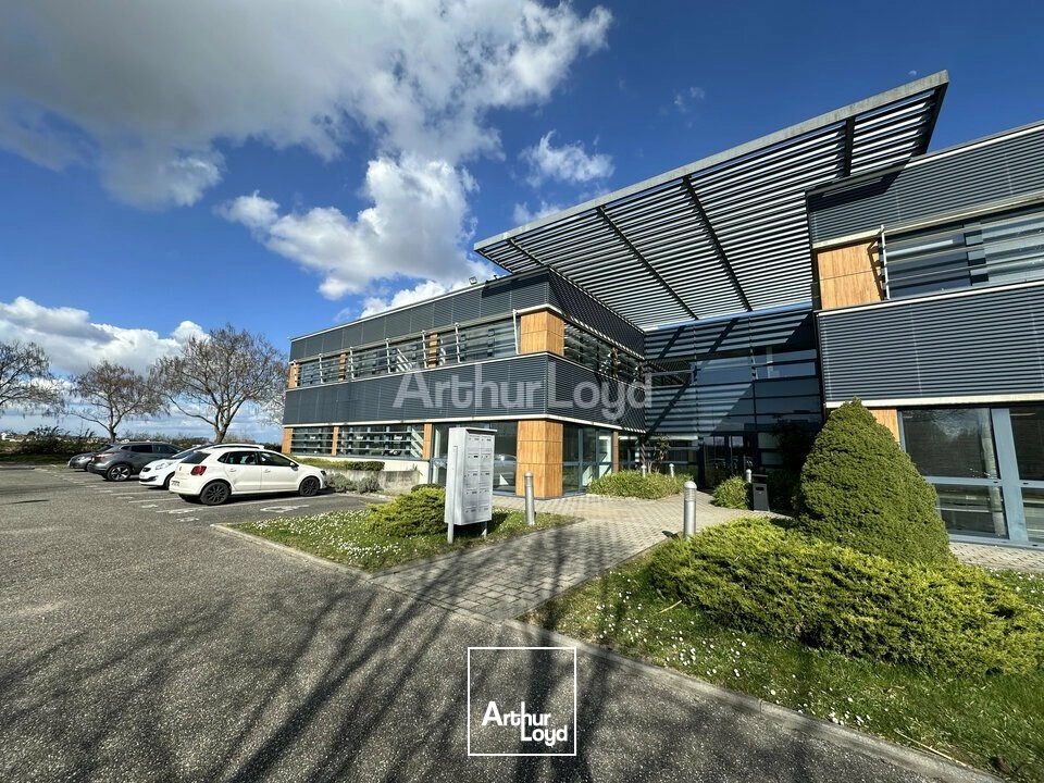 Bureaux - Location - SCHILTIGHEIM - 67300 - 69-1048 - 7752277