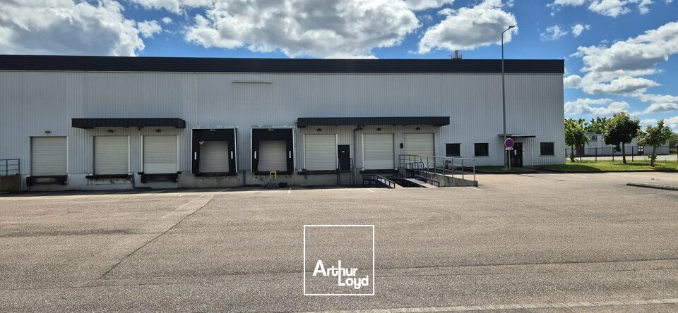 Locaux d'activité & Entrepôts - Location - LONGVIC - 21600 - 1589-1589 - 7758951