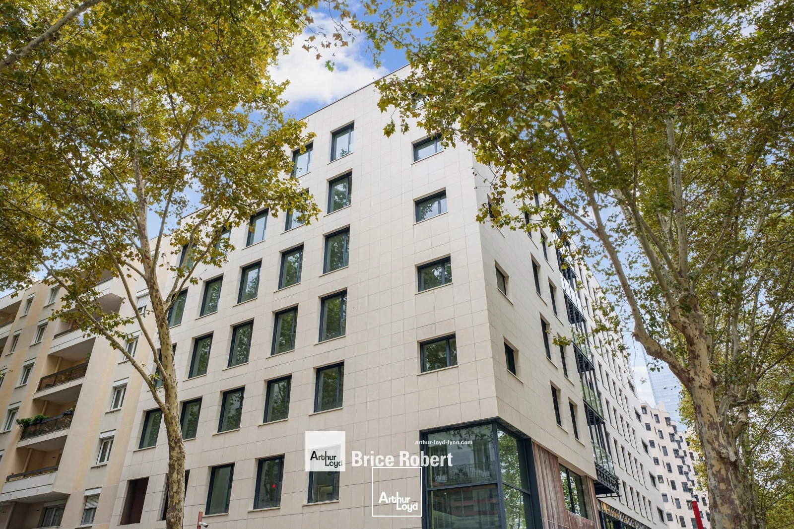 Bureaux - Location - LYON - 69003 - 405.1-405.1 - 7759643