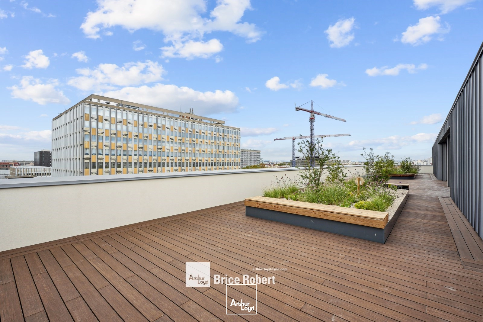 Bureaux - Location - LYON - 69003 - 405.1-405.1 - 7759653