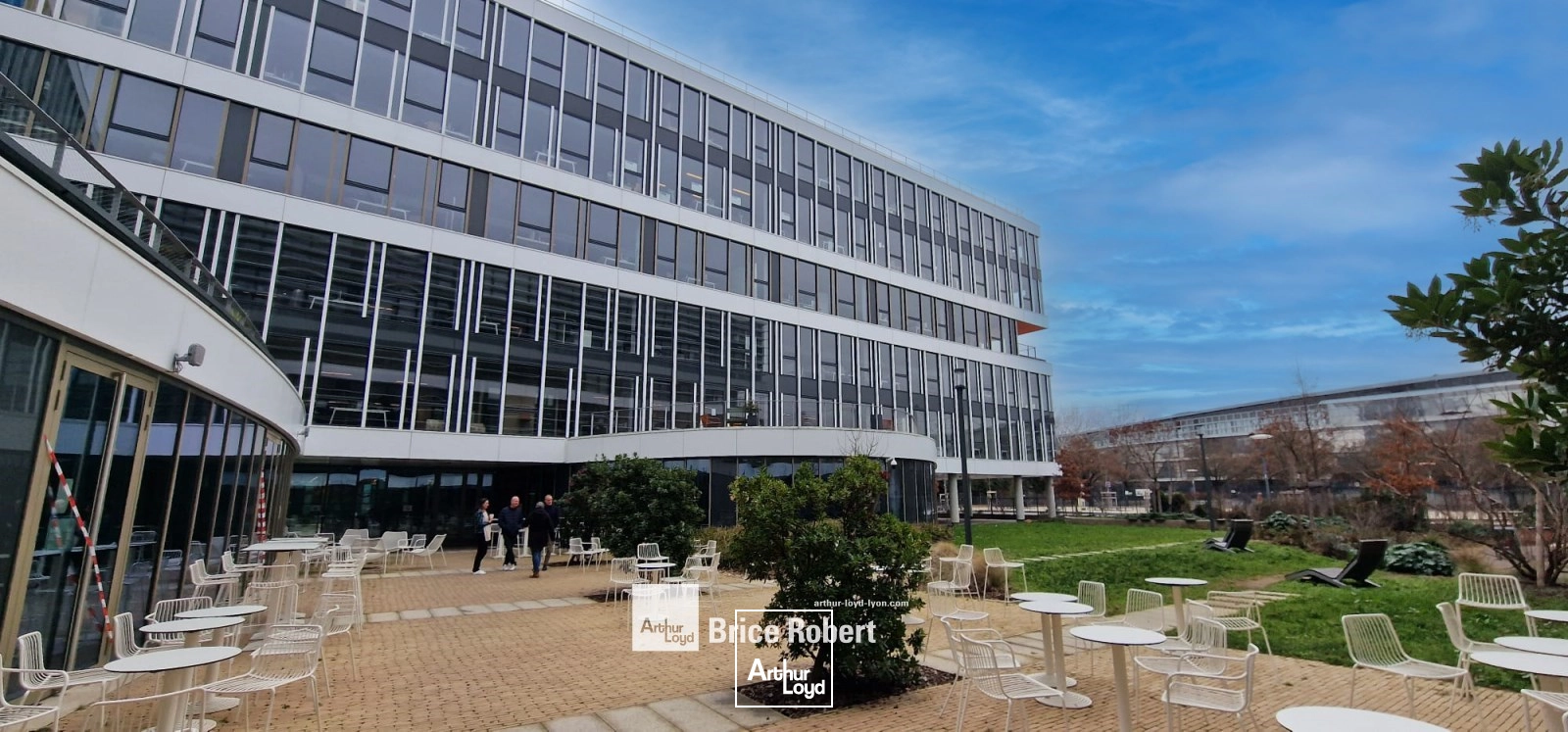 Bureaux - Location - LYON - 69007 - 519-1045 - 7759656