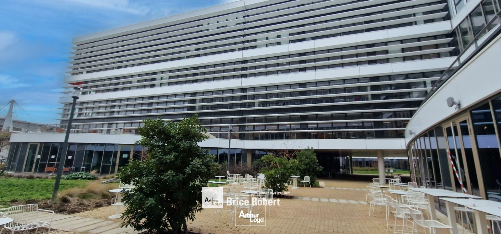 Bureaux - Location - LYON - 69007 - 519-1045 - 7759657