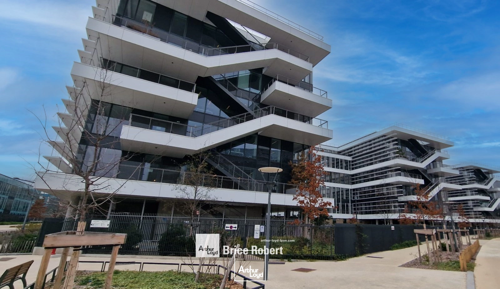 Bureaux - Location - LYON - 69007 - 519-1045 - 7759655