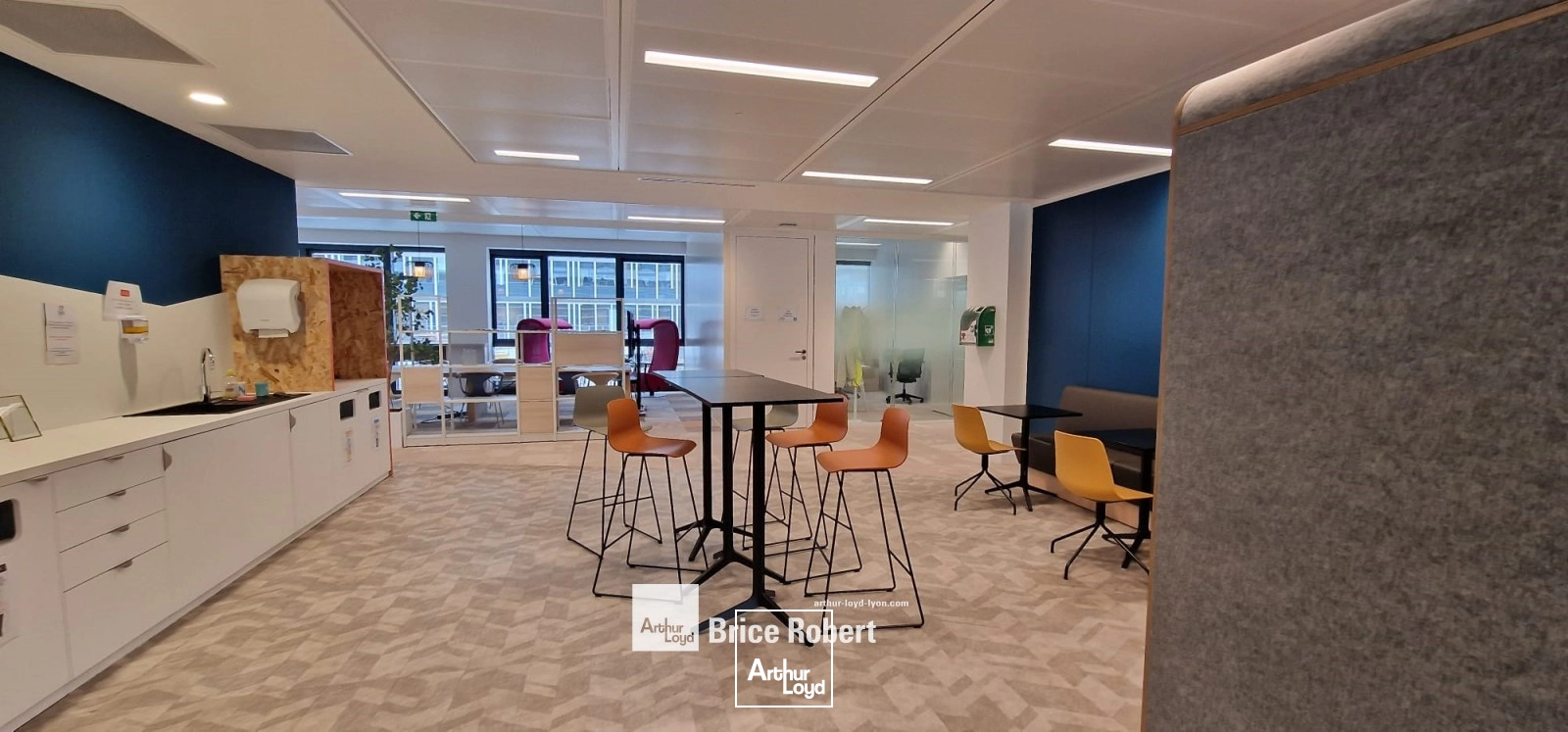 Bureaux - Location - LYON - 69007 - 519-1045 - 7759662
