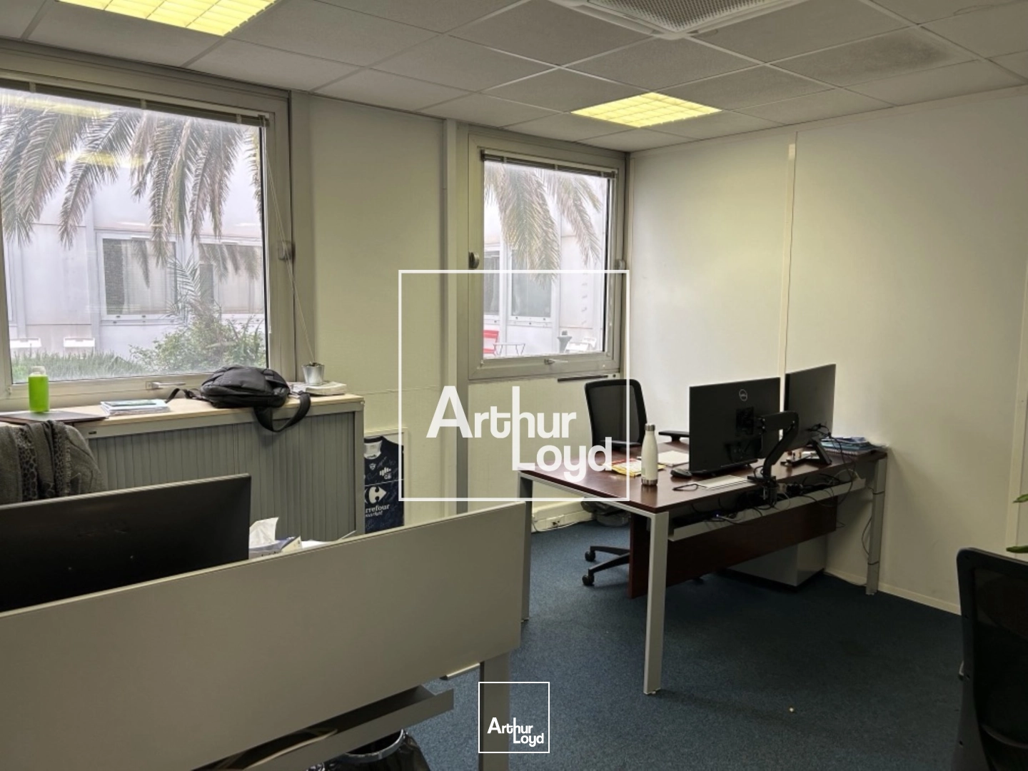 Bureaux - Location - LABEGE - 31670 - 296-296 - 7767991