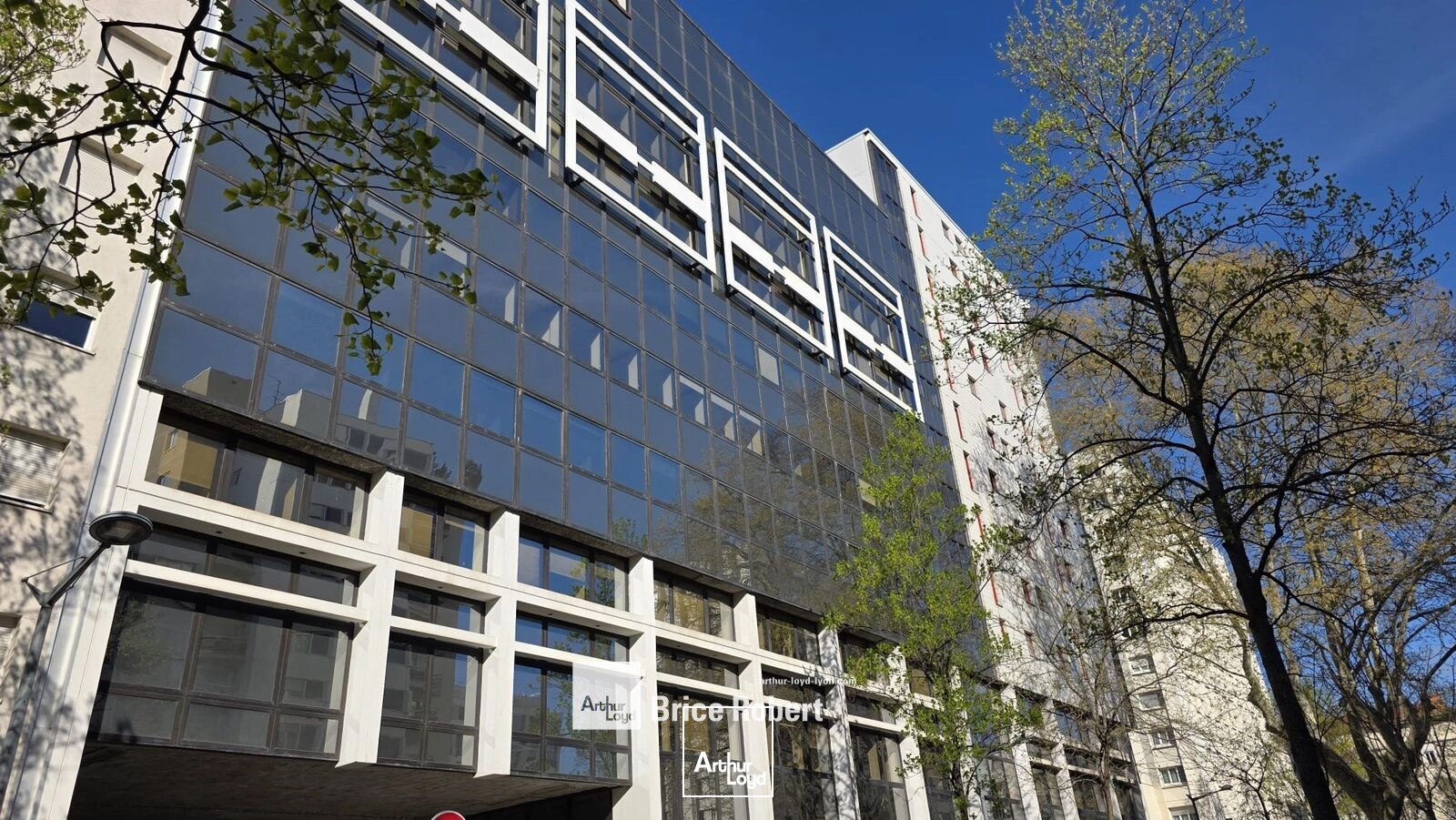 Bureaux - Vente - LYON - 69006 - 556.02-556.02 - 7778097