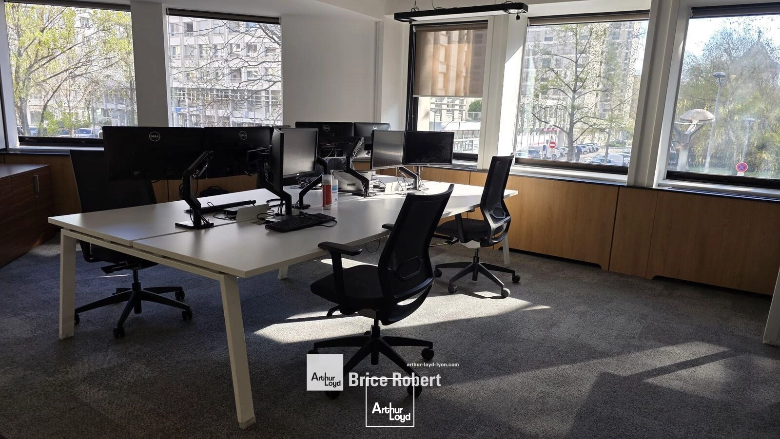 Bureaux - Vente - LYON - 69006 - 556.02-556.02 - 7778101