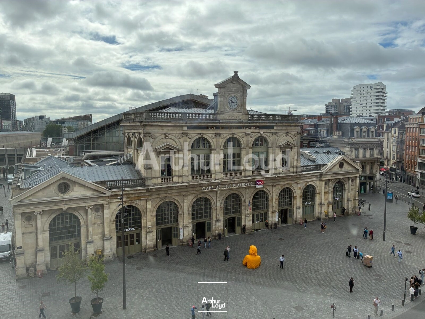 Bureaux - Location - LILLE - 59000 - 149-449 - 7791385