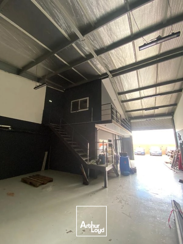 Locaux d'activité & Entrepôts - Location - Sainte Luce - 97228 - 170-170 - 7808821