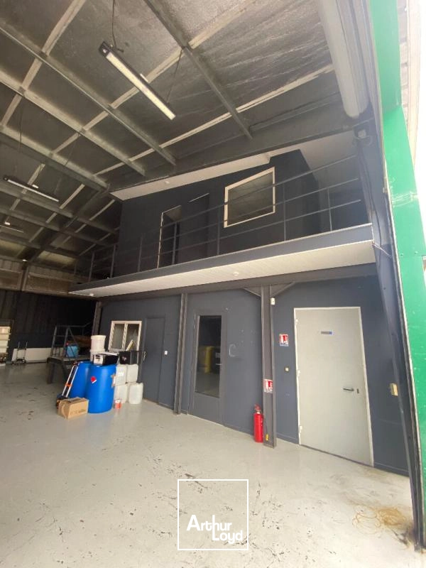 Locaux d'activité & Entrepôts - Location - Sainte Luce - 97228 - 170-170 - 7808820