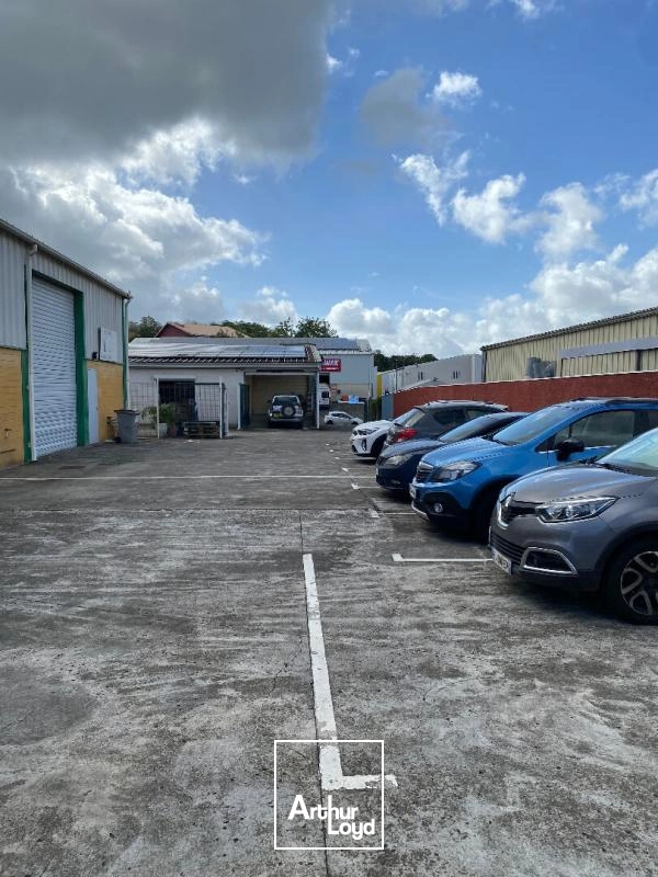 Locaux d'activité & Entrepôts - Location - Sainte Luce - 97228 - 170-170 - 7808816