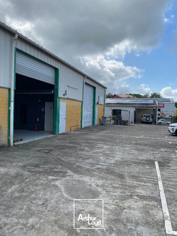 Locaux d'activité & Entrepôts - Location - Sainte Luce - 97228 - 170-170 - 7808814