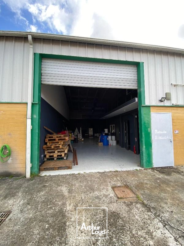 Locaux d'activité & Entrepôts - Location - Sainte Luce - 97228 - 170-170 - 7808815