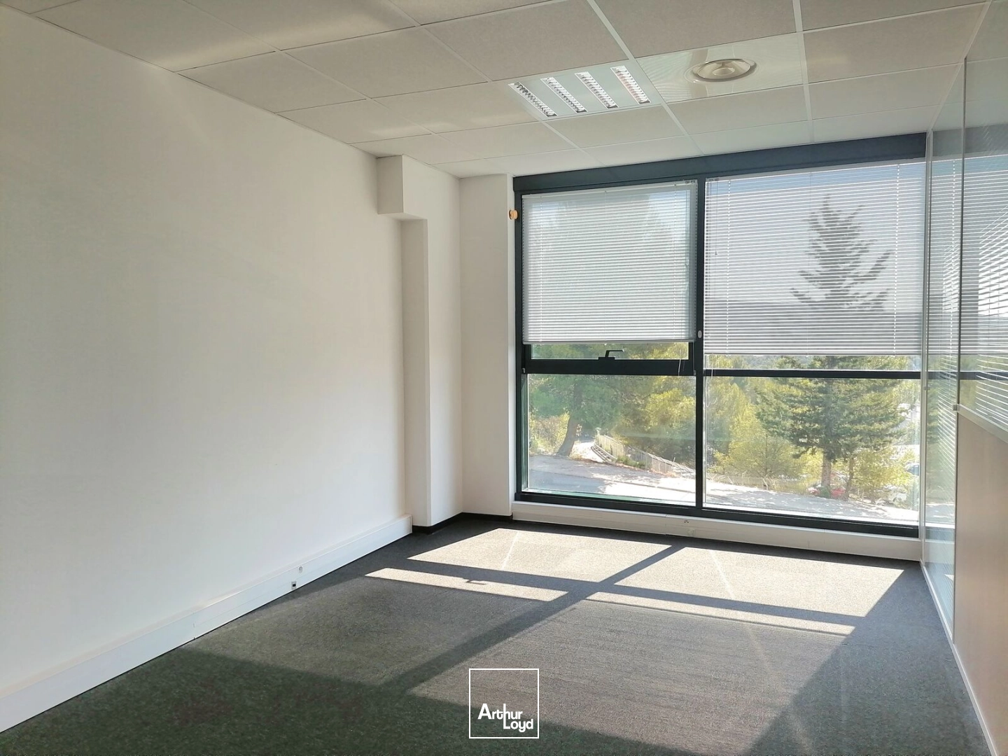 Bureaux - Vente - LA CIOTAT - 13600 - 281-281 - 7809509