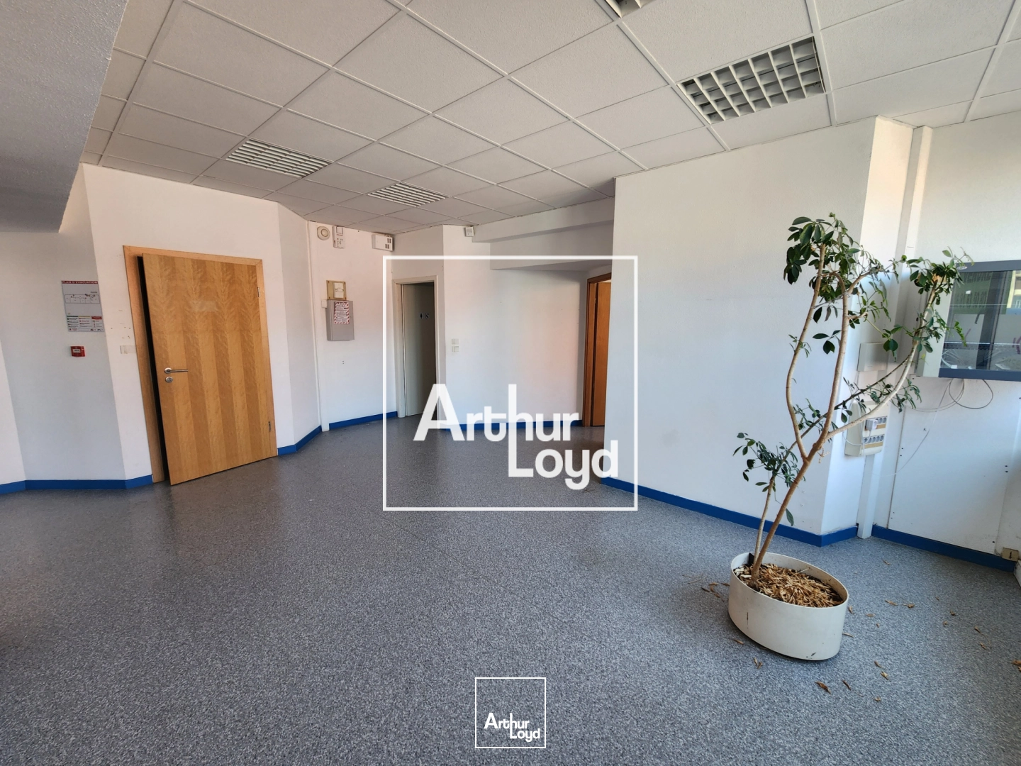 Bureaux - Vente - Belfort - 90000 - 182-182 - 7822611