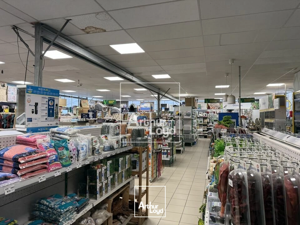 Locaux commerciaux - Vente - NEMOURS - 77140 - 900-900 - 7822816