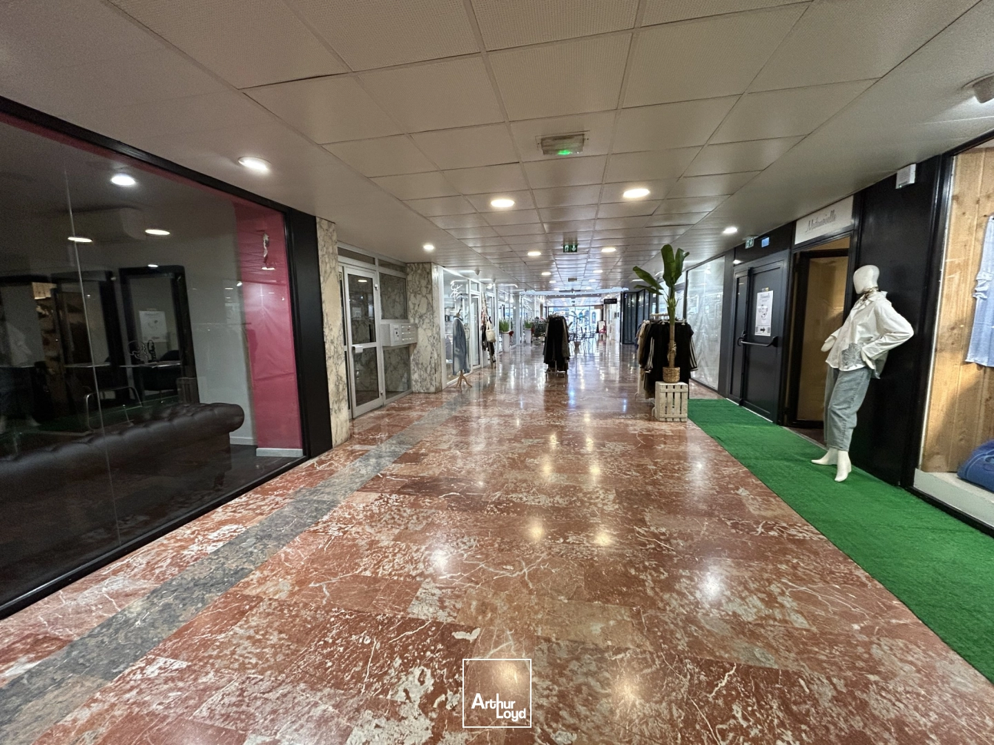 Locaux commerciaux - Location - PERPIGNAN - 66000 - 22-442 - 7824768