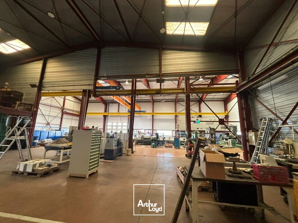 Locaux d'activité & Entrepôts - Vente - LA JAUDONNIÈRE - 85110 - 500-2250 - 7826363