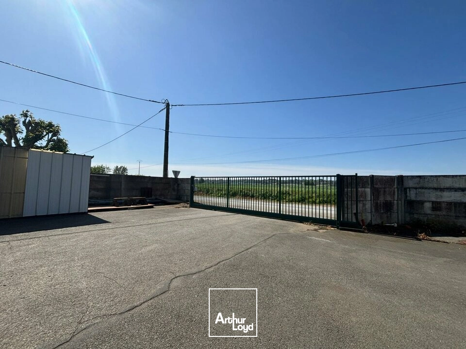 Locaux d'activité & Entrepôts - Vente - LA JAUDONNIÈRE - 85110 - 500-2250 - 7826368