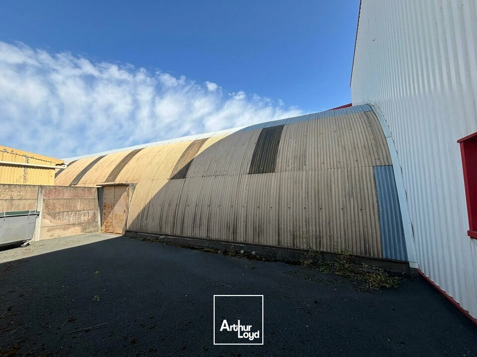 Locaux d'activité & Entrepôts - Vente - LA JAUDONNIÈRE - 85110 - 500-2250 - 7826371