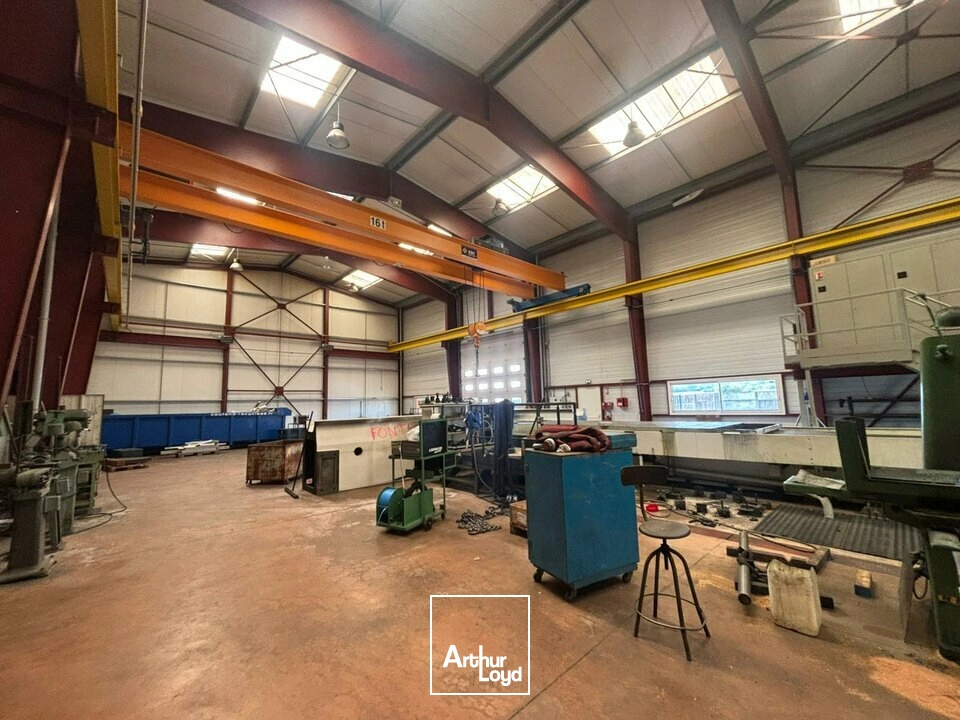 Locaux d'activité & Entrepôts - Vente - LA JAUDONNIÈRE - 85110 - 500-2250 - 7826364