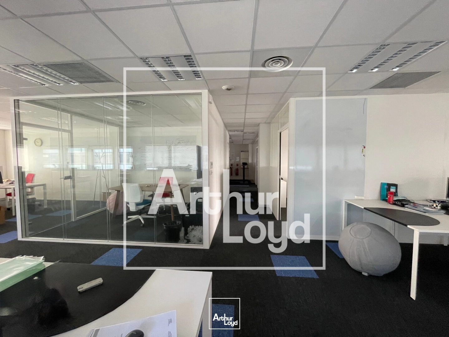 Bureaux - Vente - MONTPELLIER - 34000 - 250-250 - 7826466