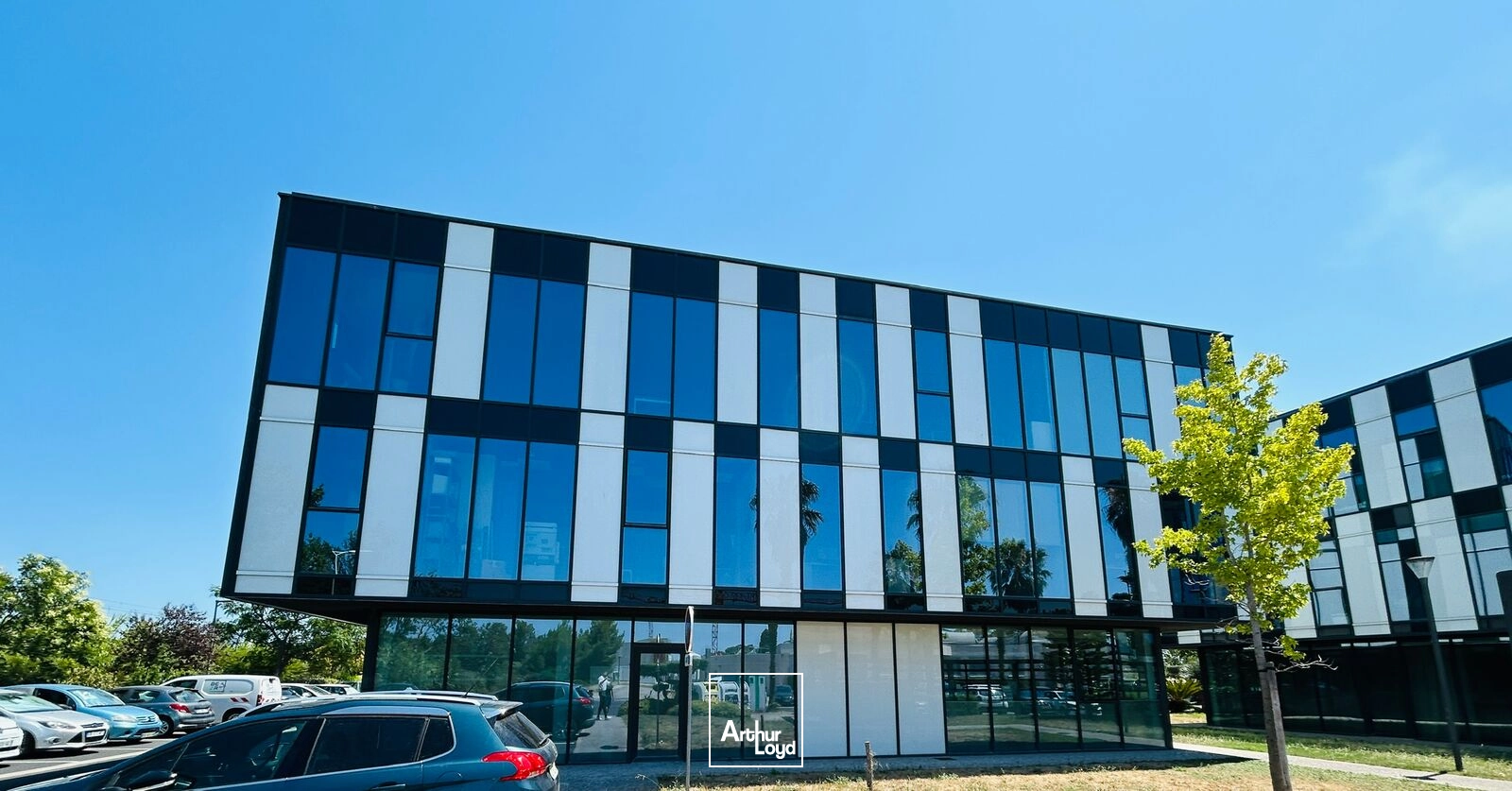 Bureaux - Location - PERPIGNAN - 66100 - 150.17-150.17 - 7827074