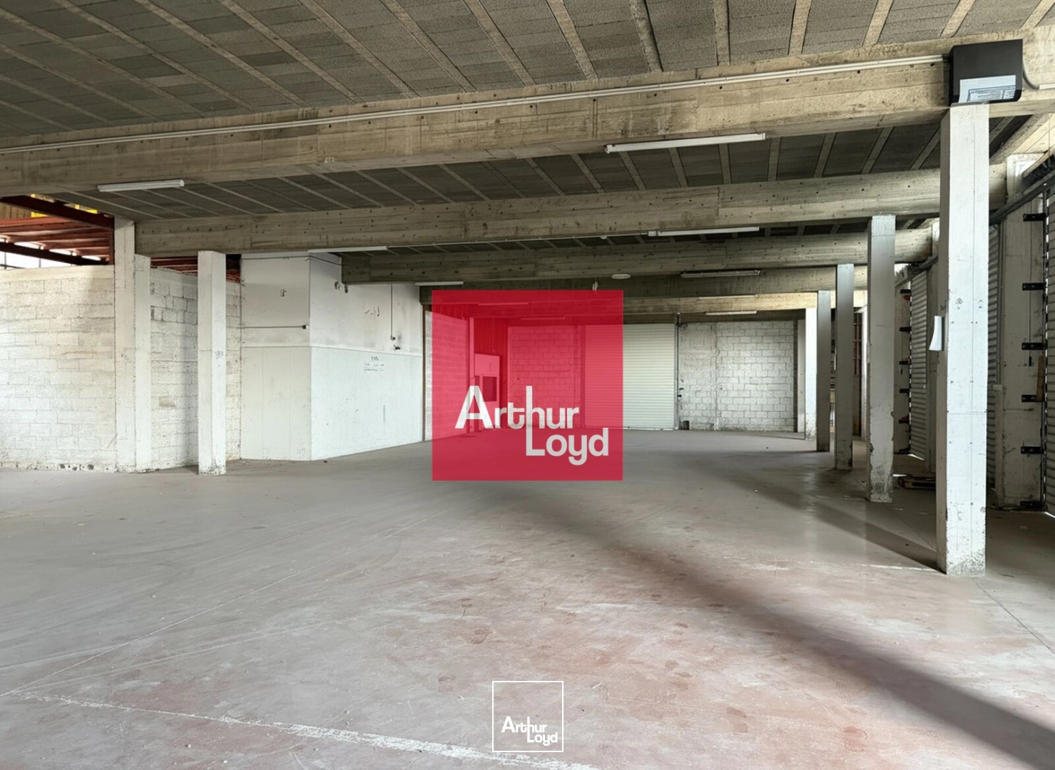 Locaux d'activité & Entrepôts - Location - ECHIROLLES - 38130 - 1170-1170 - 7828283