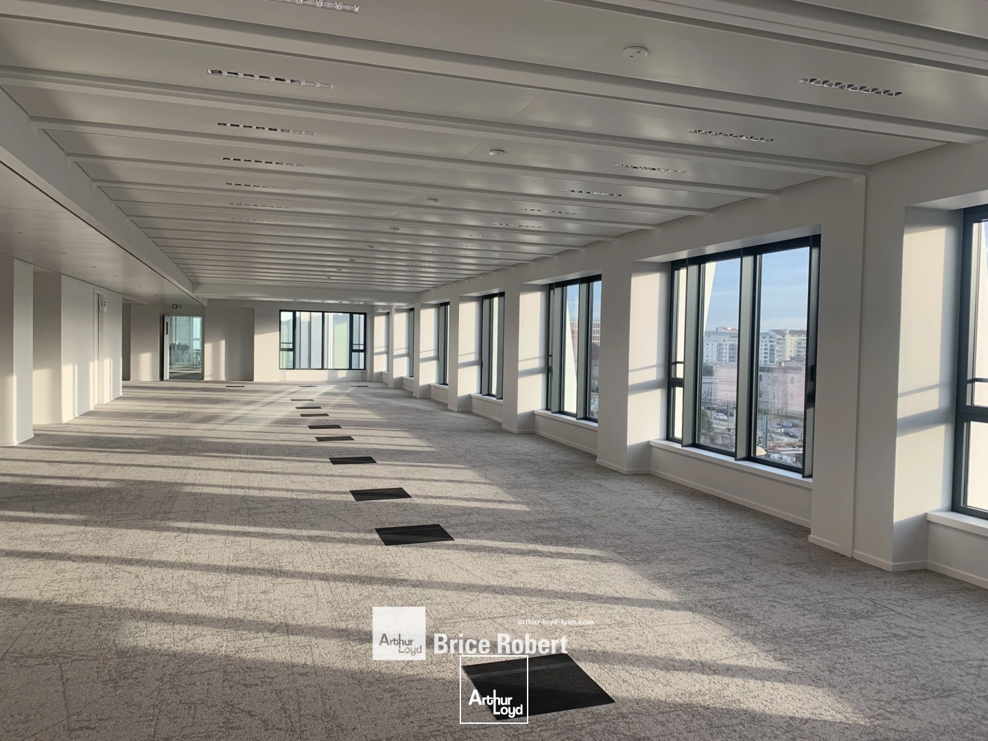 Bureaux - Location - LYON - 69003 - 281.6-281.6 - 7828646
