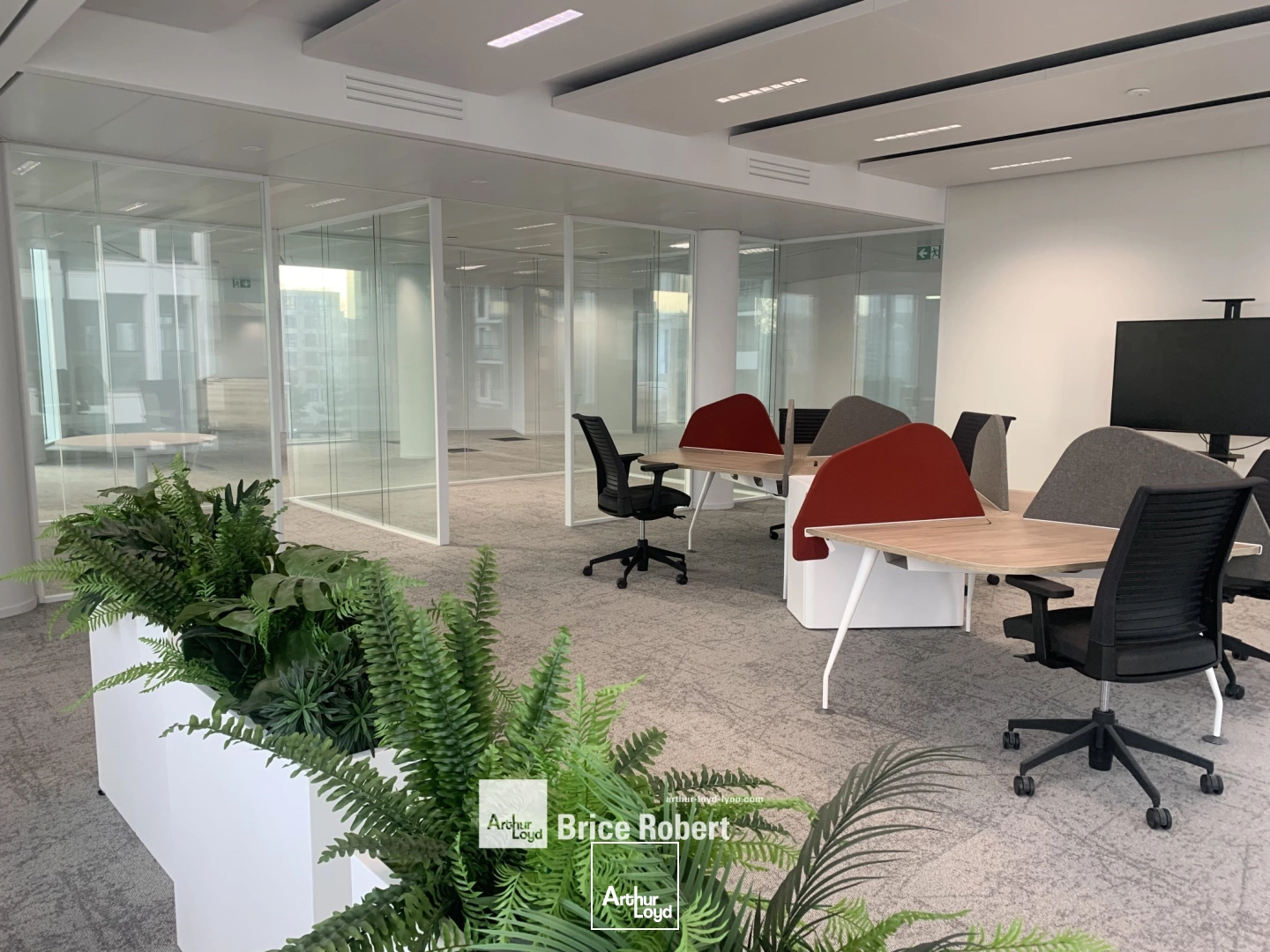 Bureaux - Location - LYON - 69003 - 281.6-281.6 - 7828648