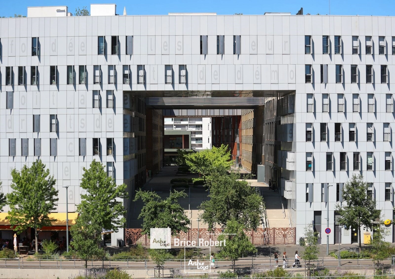 Bureaux - Location - LYON - 69002 - 256-256 - 7828657