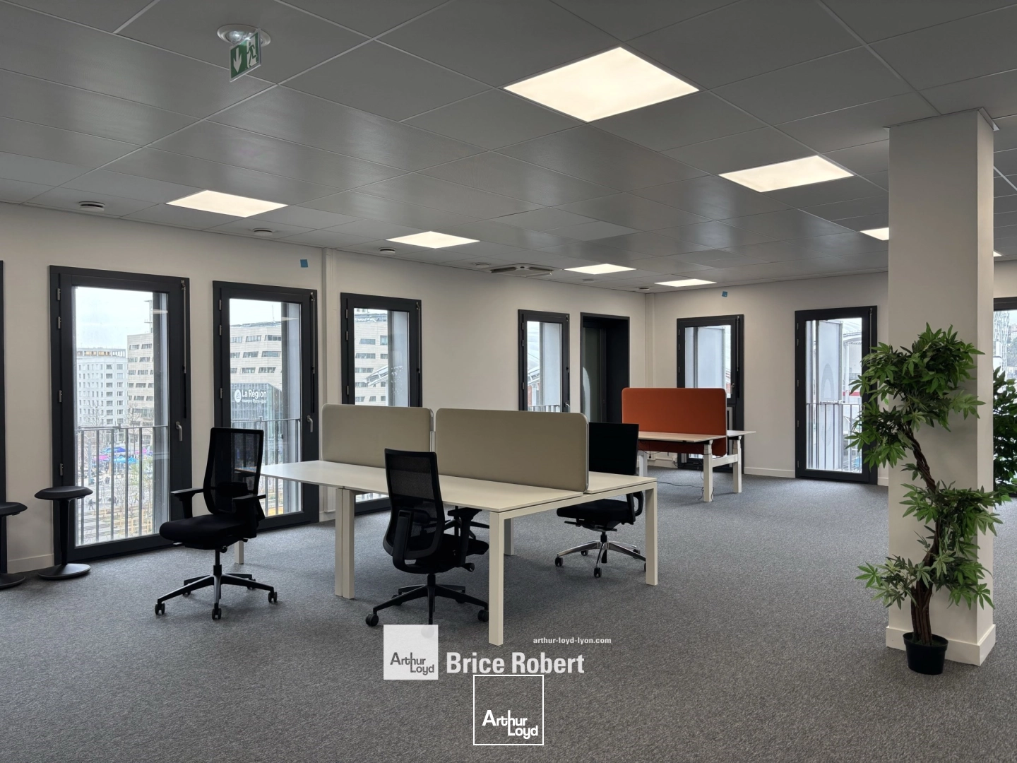Bureaux - Location - LYON - 69002 - 256-256 - 7828661