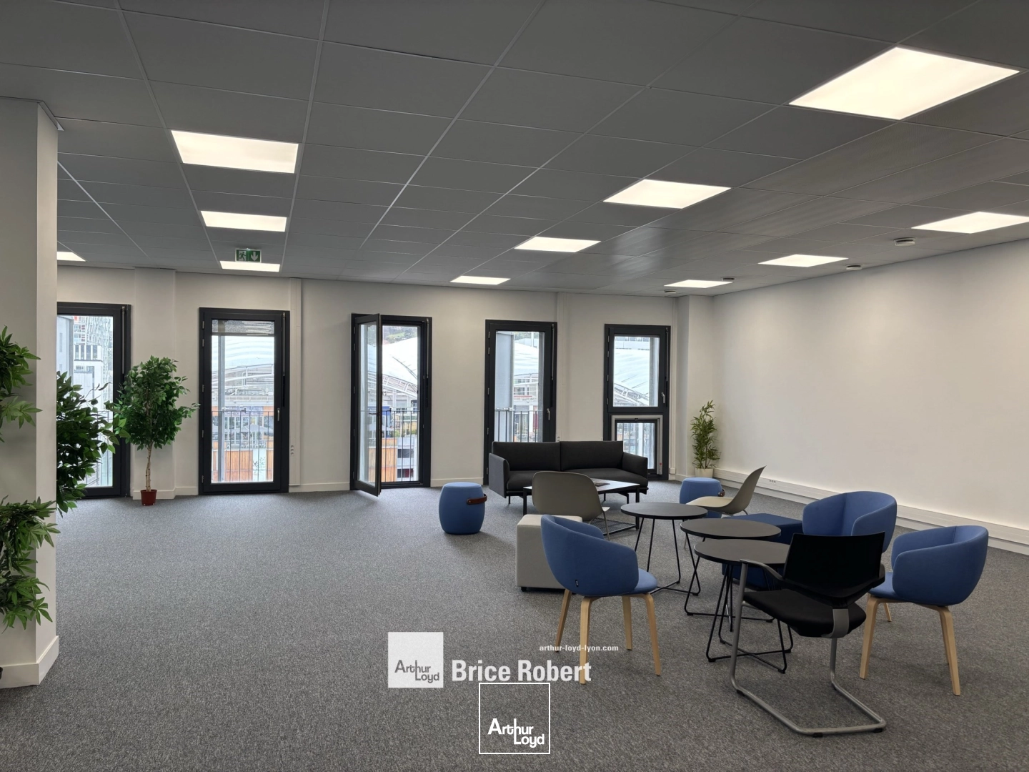 Bureaux - Location - LYON - 69002 - 256-256 - 7828660