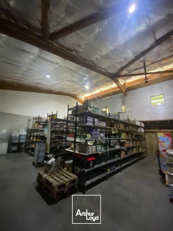 Locaux d'activité & Entrepôts - Location - Sainte Luce - 97228 - 265-265 - 7829565