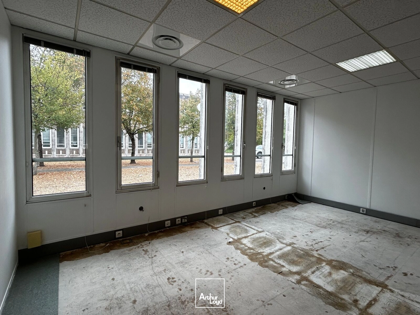 Bureaux - Location - BORDEAUX - 33000 - 202-202 - 7829762