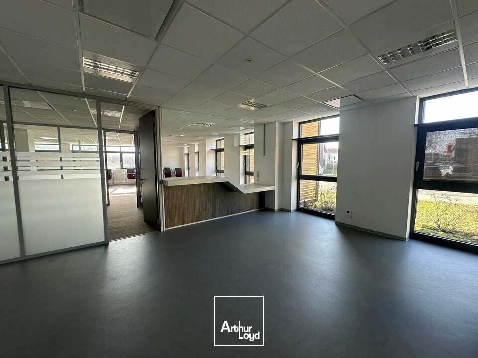 Bureaux - Vente - SCHILTIGHEIM - 67300 - 345-700 - 7833967