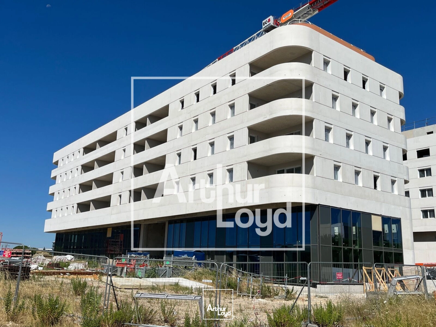 Locaux commerciaux - Location - CASTELNAU LE LEZ - 34170 - 261-522 - 7835984