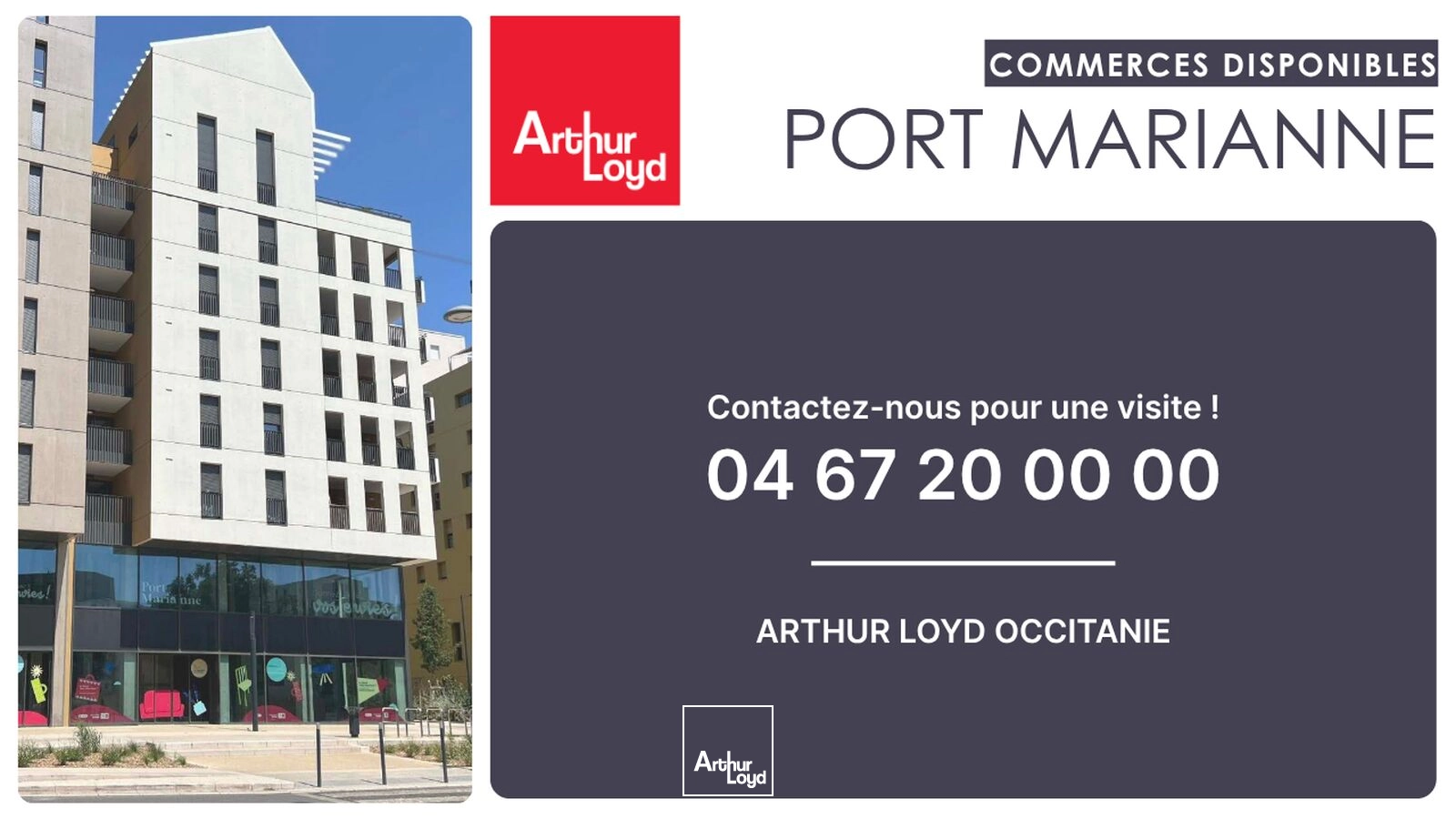 Locaux commerciaux - Location - MONTPELLIER - 34000 - 45.25-152.81 - 7836003
