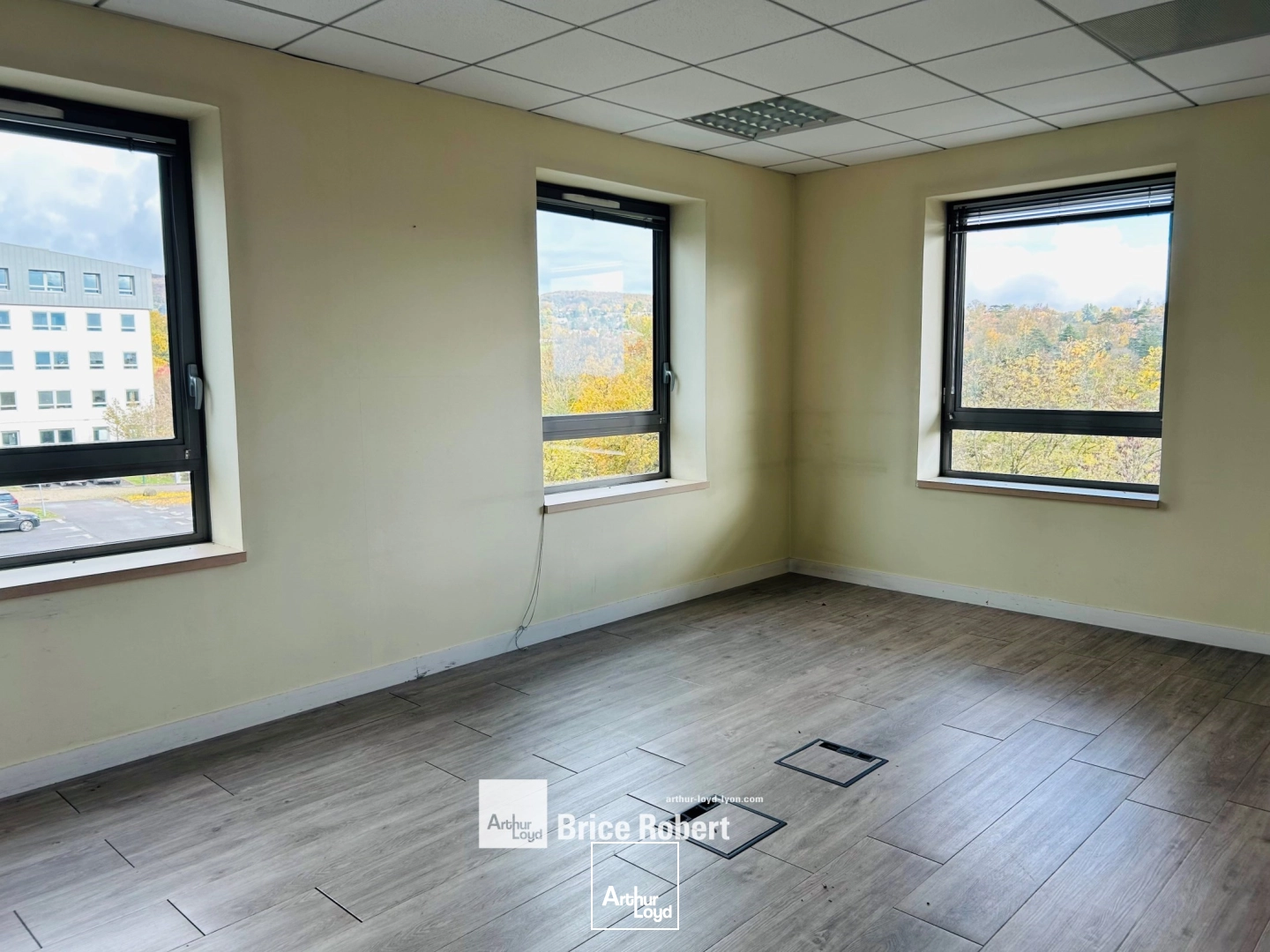 Bureaux - Location - LIMONEST - 69760 - 336-1691.86 - 7836400