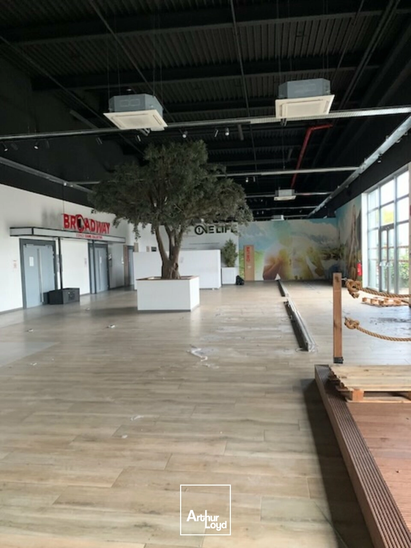 Locaux commerciaux - Location - AVIGNON - 84000 - 1181.66-1181.66 - 7837952