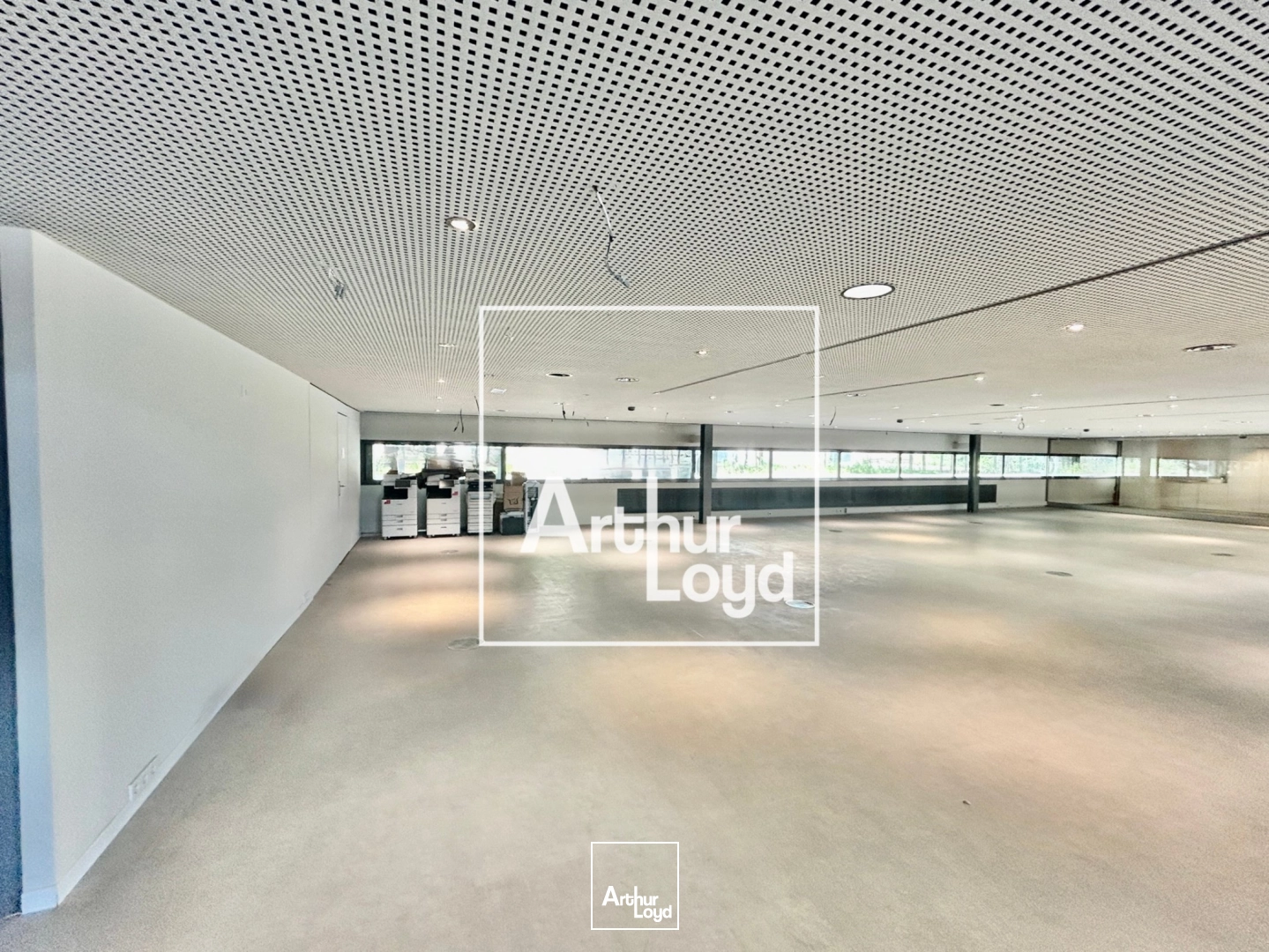 Locaux commerciaux - Location - MONTPELLIER - 34000 - 1034.63-1034.63 - 7838177