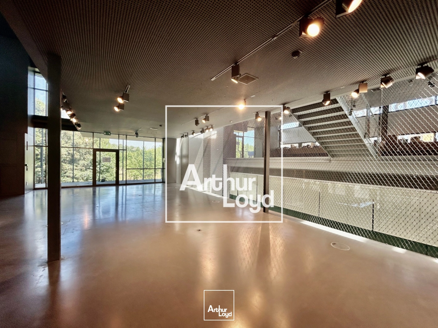 Locaux commerciaux - Location - MONTPELLIER - 34000 - 1034.63-1034.63 - 7838186