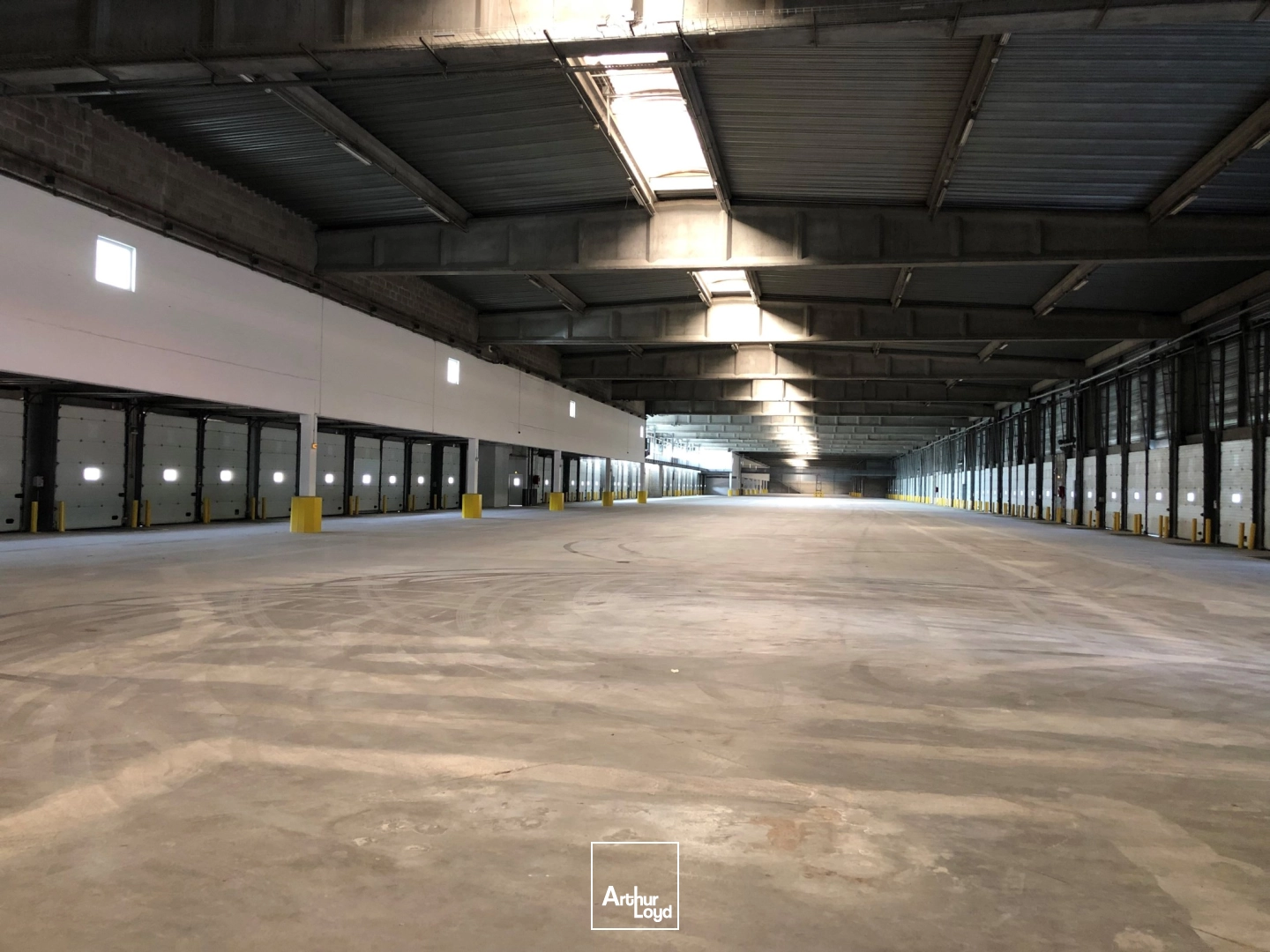 Locaux d'activité & Entrepôts - Location - AULNAY SOUS BOIS - 93600 - 5051-5051 - 7839184